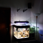 Aquarium und Technikbecken