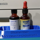 Blumentier Flaschenhalter für vier 50ml Flaschen Blumentier Flaschenhalter für vier 50ml Flaschen