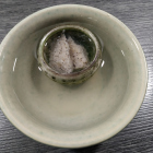 aufgetautes Mysis Frostfutter in Futter-Ei mit 2mm Löchern aufgetautes Mysis Frostfutter in Futter-Ei mit 2mm Löchern
