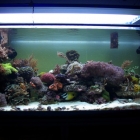 Gesamtansicht Aquarium Gesamtansicht Aquarium