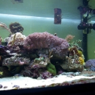 Gesamtansicht Aquarium Gesamtansicht Aquarium