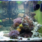 Gesamtansicht Aquarium Gesamtansicht Aquarium