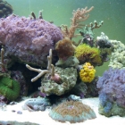Gesamtansicht Aquarium Gesamtansicht Aquarium