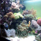 Ansicht Aquarium Ansicht Aquarium