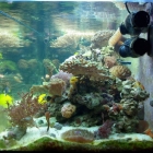 Gesamtansicht Aquarium Gesamtansicht Aquarium