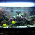 Gesamtansicht Aquarium Gesamtansicht Aquarium