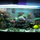 Gesamtansicht Aquarium Gesamtansicht Aquarium