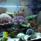 Ansicht Aquarium Ansicht Aquarium