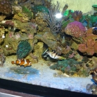 Ansicht Aquarium Ansicht Aquarium
