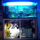 Gesamtansicht Aquarium und Technikbecken Gesamtansicht Aquarium und Technikbecken