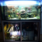 Gesamtansicht Aquarium und Technikbecken