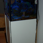 Gesamtansicht Aquarium