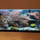 Gesamtansicht Aquarium links