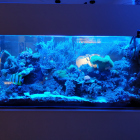 Gesamtansicht Aquarium rechte Seite