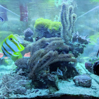 Gesamtansicht Aquarium Stirnseite im Blaulicht