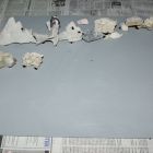 DIY Rückwand DIY Rückwand